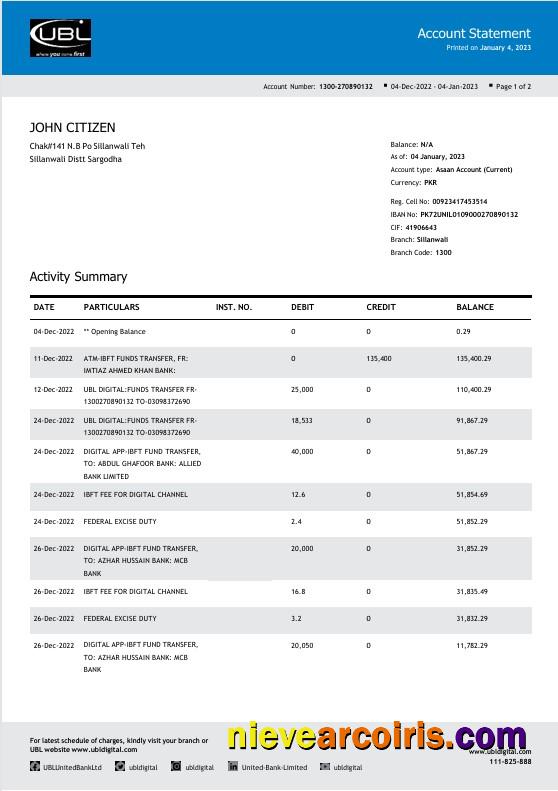 Pakistan UBL bank statement Word and PDF, 2 pages